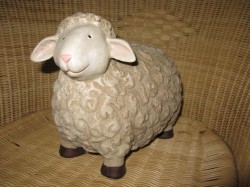 A Sheep With No Name