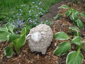 sheep_garden_0002