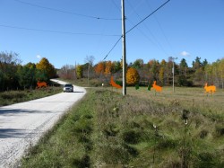 Rural Road Art