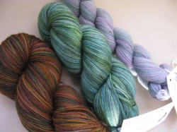 Three skeins of yarn from Wandering Cat Studios