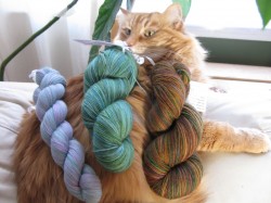 Wake up Duncan, there's new yarn!