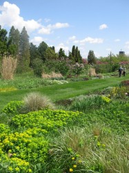 The Ornamental Gardens