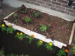 herb garden