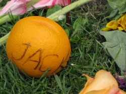 An orange