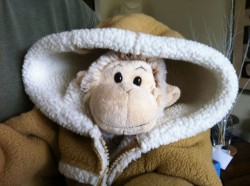 ikeamonkey