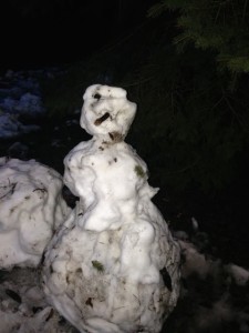 Spring Snowman won't die!